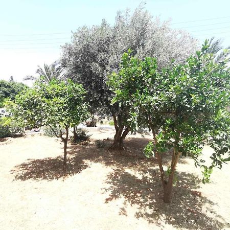 Stalis Drops Bed and Breakfast Εξωτερικό φωτογραφία