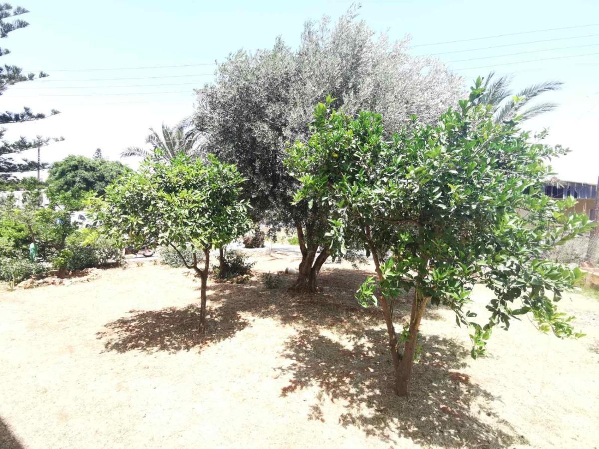 Stalis Drops Bed and Breakfast Εξωτερικό φωτογραφία